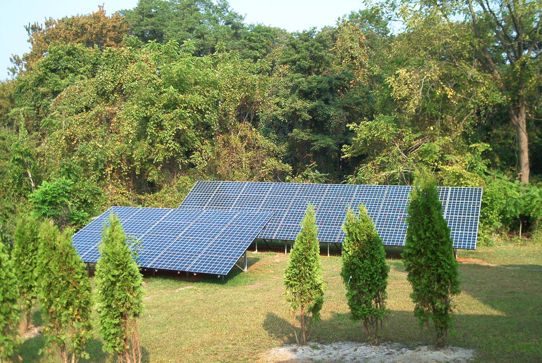 Solar panels with trees around