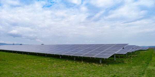 Community Solar Farm In Green Grassy Field With Blue Sky Above